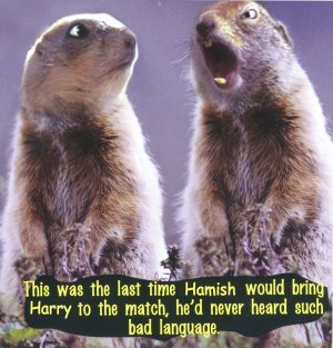 Furry Creatures H (2)